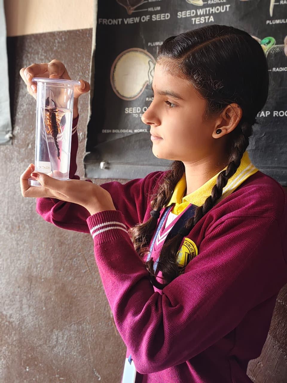 Academic learning at Charkula Global Public School