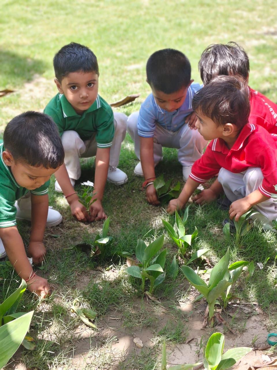 Eco Club Activities